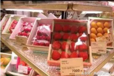 日本留学生吃不起水果,韩国留学生吃不起西瓜