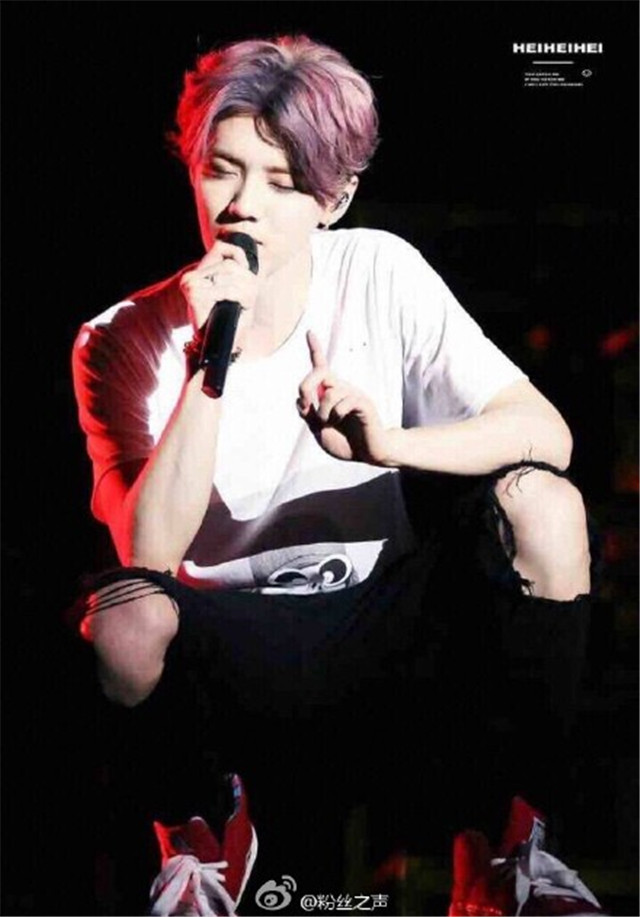 鹿晗回来了,鹿晗回来了吗