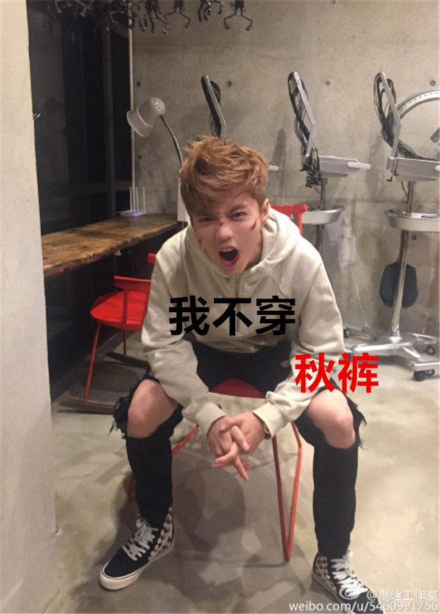 鹿晗回来了,鹿晗回来了吗