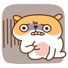 装修贷不用真实装修怎么操作,装修贷小知识