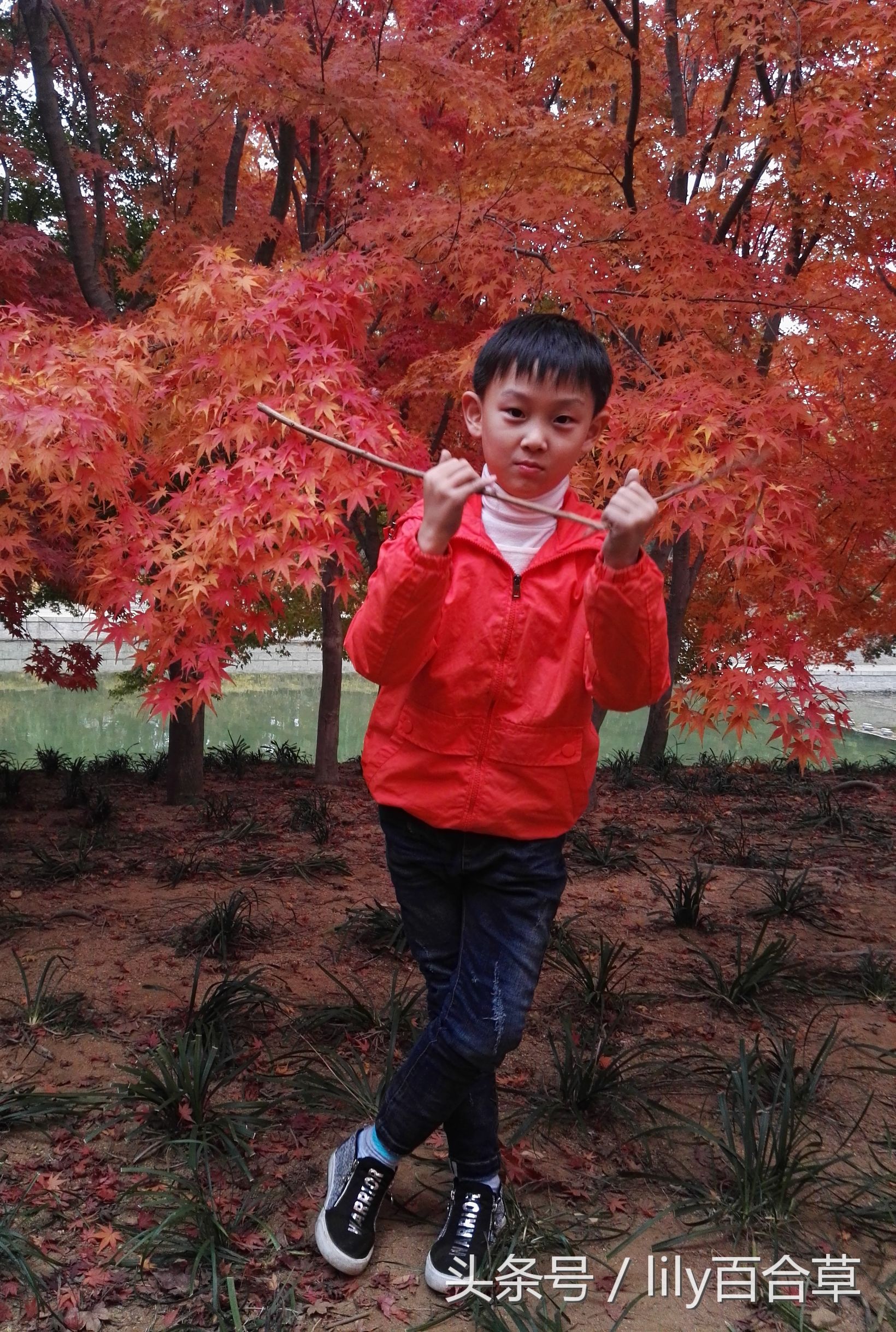 鬼马少年完整版,鬼马少年系列