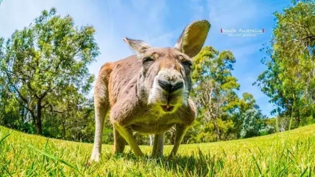 最近假期去哪里好点,假期去哪玩更合适