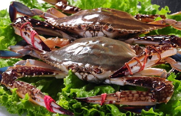 发家致富小农民,致富小农民