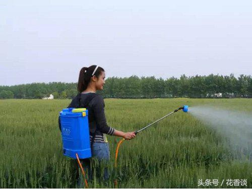 农村冷门小本创业生意,最有前景的10个农村创业点子