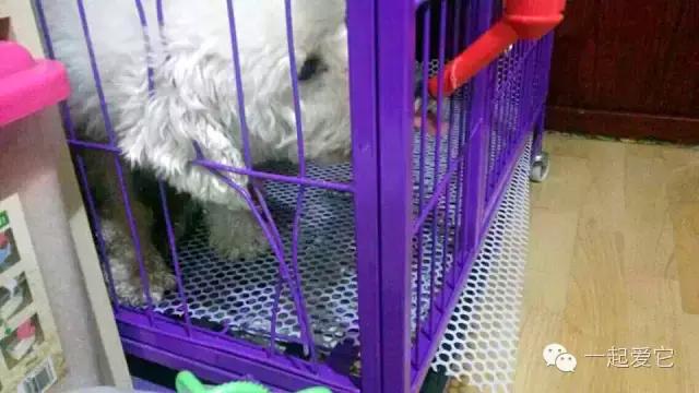 宠爱故事全集,宠爱讲故事