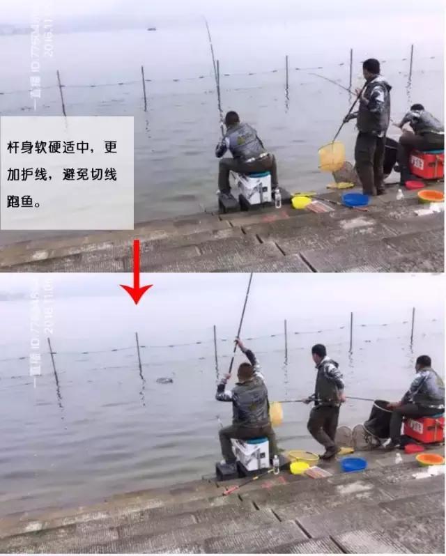 行营鱼竿x12什么价,行营鱼竿x12