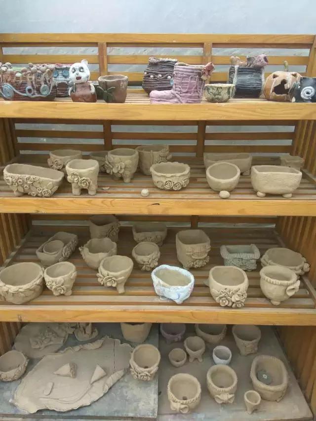 一个爱折腾的90后,多肉90后大叔