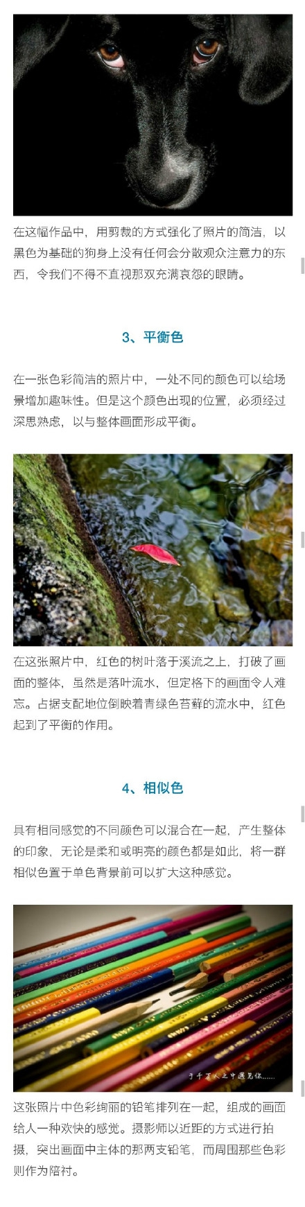 100个摄影入门基础知识,iphone摄影基础知识入门