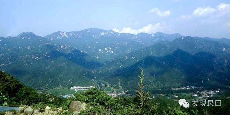 良田路演：景语菇——不忘初心，与梦同行