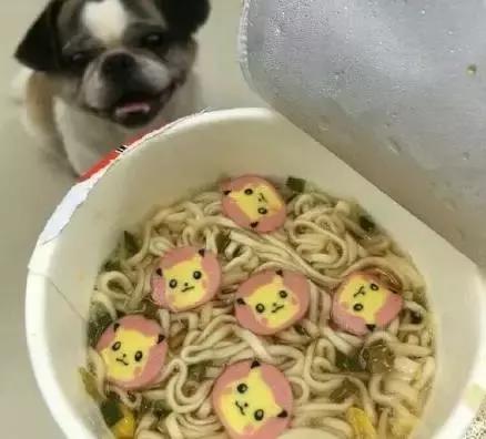 还是憋吃9块钱的砂锅大嘴猴啦，我们一起去吐吧