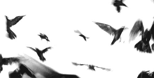 毕业七年，我再也找不到一起踢球的兄弟