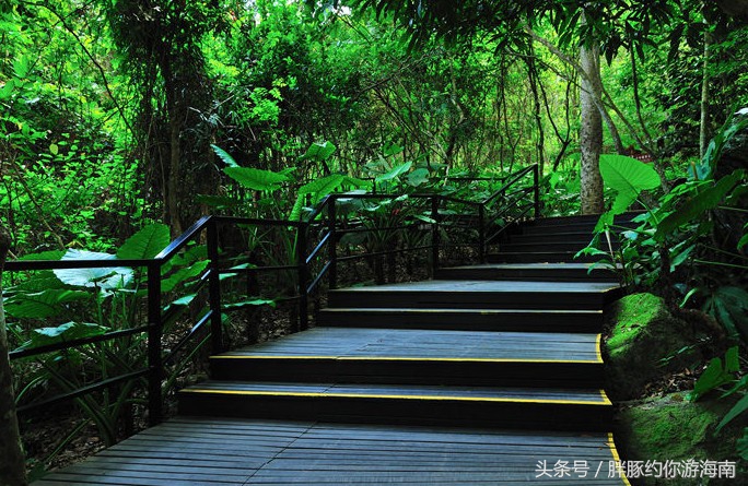 海南旅游攻略三亚景点,海南三亚旅游攻略自由行路线图