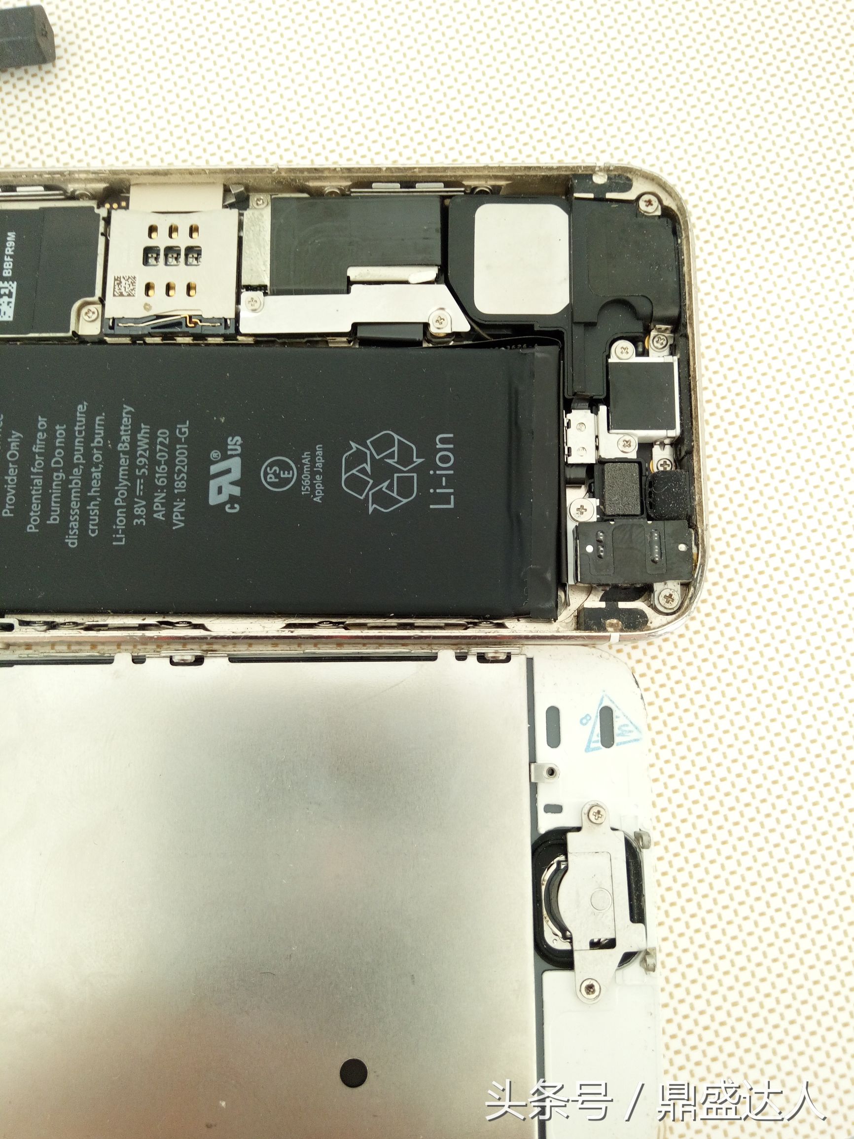 苹果5s拆机换扬声器,5s拆机换壳教程