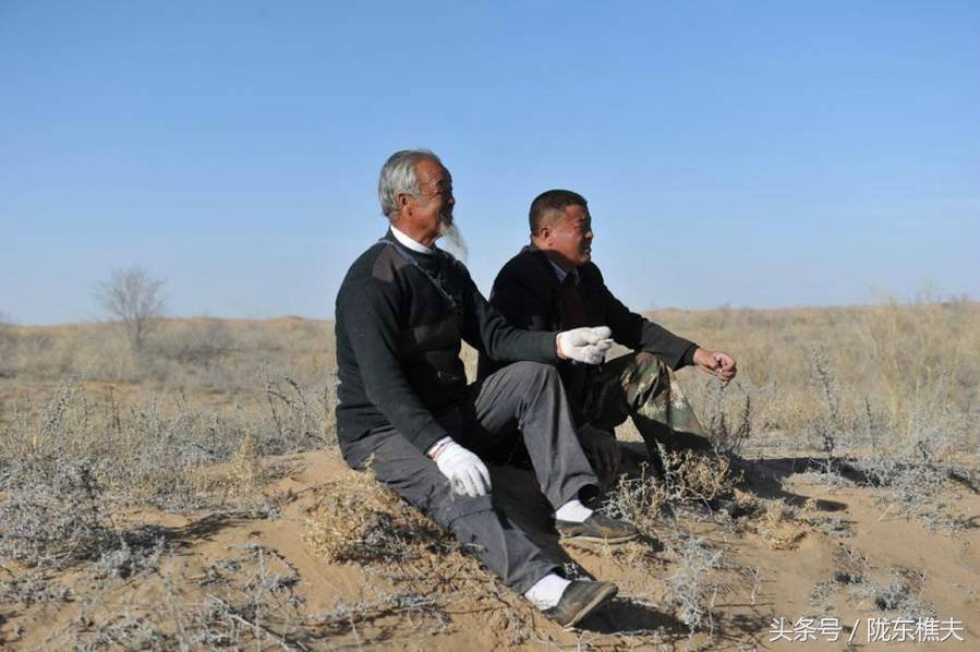 父子绿化沙漠,坚守独腿夫妻沙漠种出30万棵树