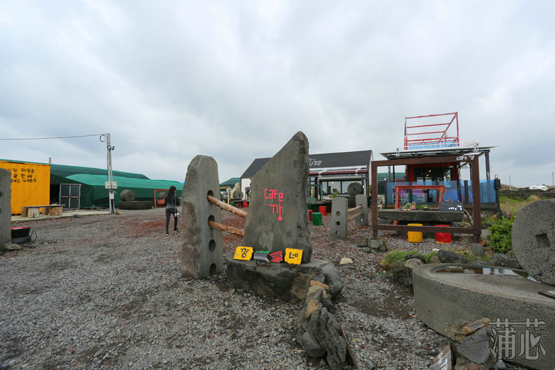 济州岛看枫叶,济州岛枫叶