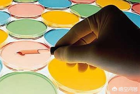 检测出人型支原体和解脲脲原体,解脲支原体和人型支原体阳性原因