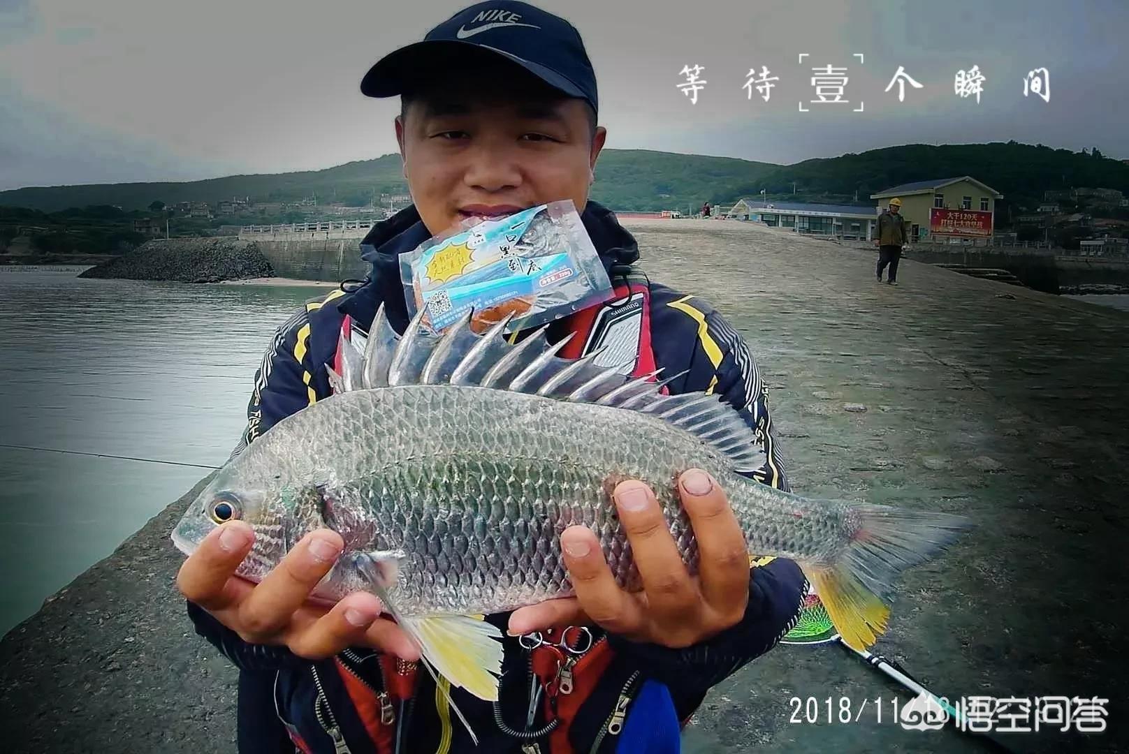 海钓黑鲷鱼钩套装,海钓黑鲷用什么钩好