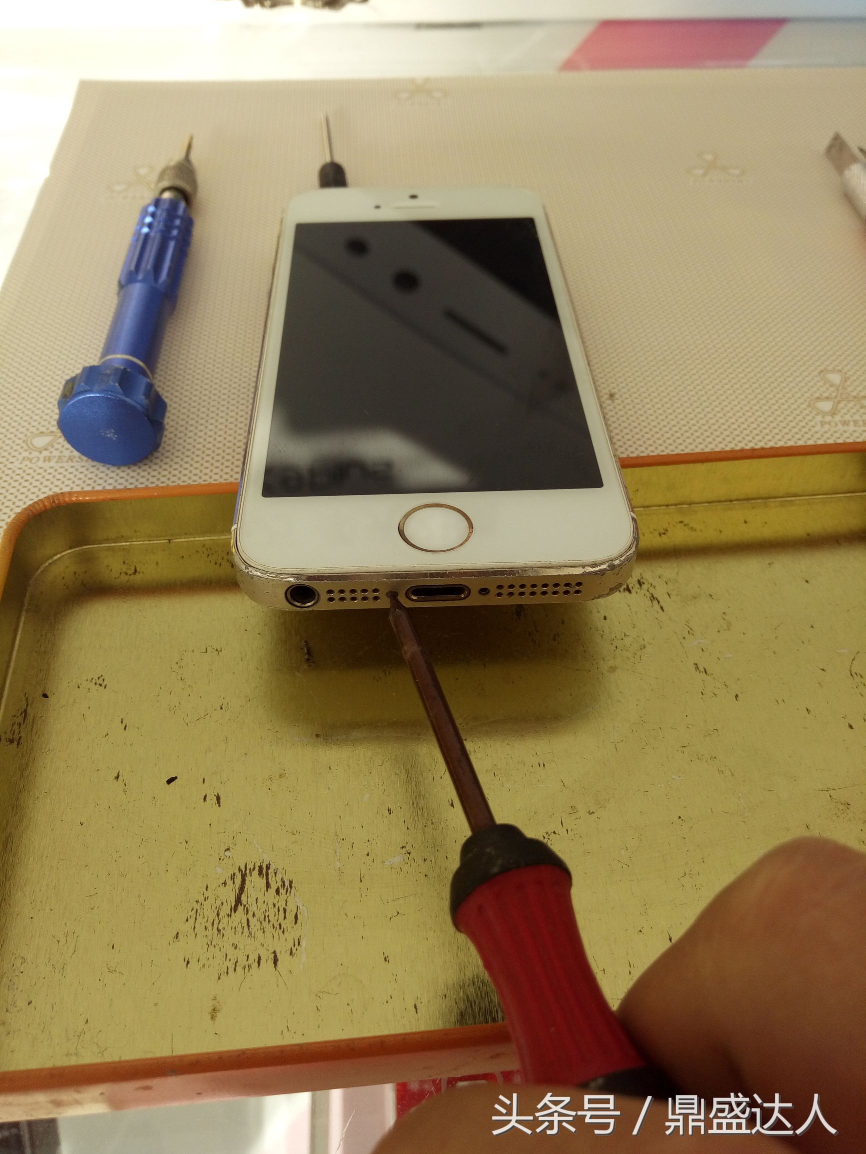 苹果5s拆机换扬声器,5s拆机换壳教程