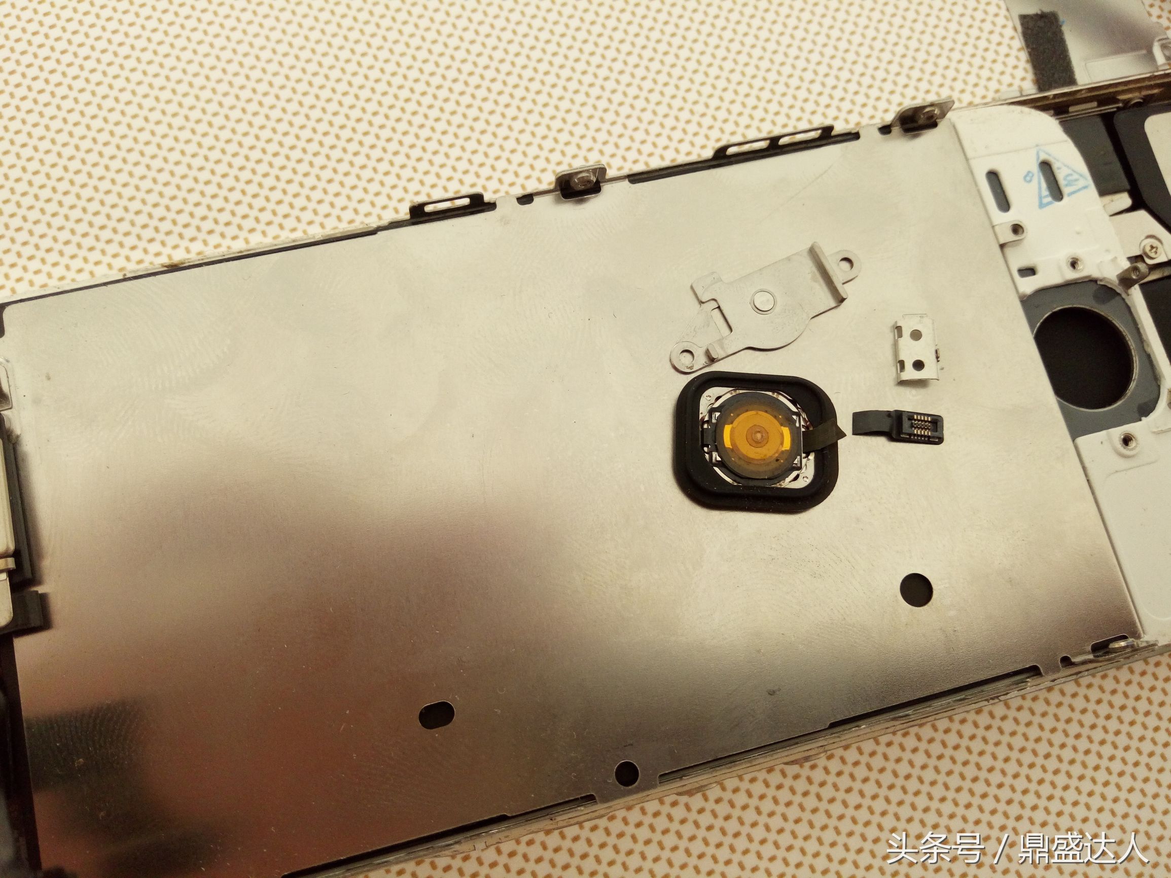 苹果5s拆机换扬声器,5s拆机换壳教程