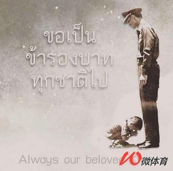 各国奇葩足协,中国足协奇葩事件top10