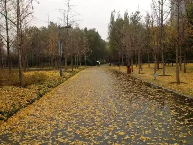 最近假期去哪里好点,假期去哪玩更合适