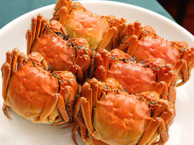 发家致富小农民,致富小农民