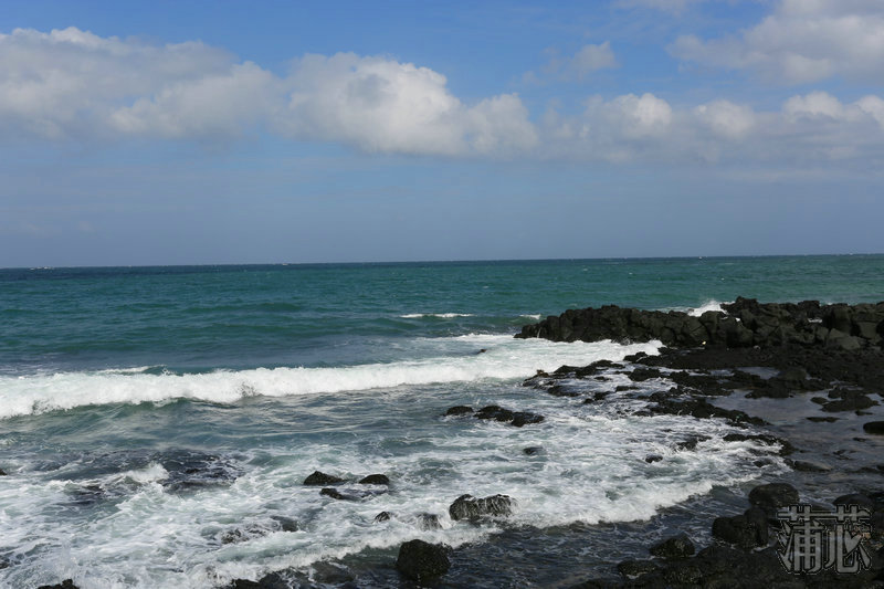 济州岛看枫叶,济州岛枫叶