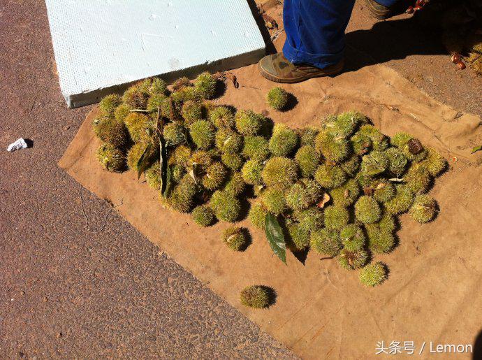 眼力测试100个视频,最难眼力智商测试图48张