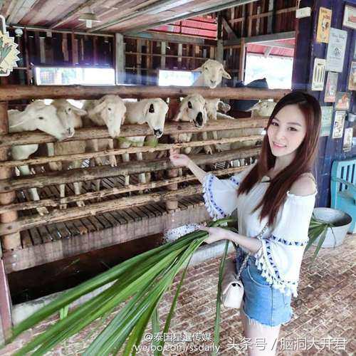 泰国最美果汁西施,泰国果汁西施最火的视频