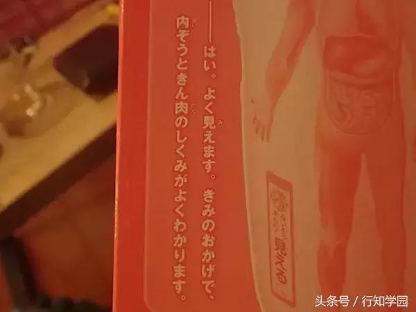 小学生杂志的附录太厉害了，一个手滑买了12本