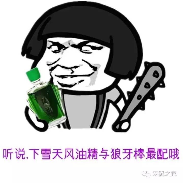 看看那些年我们一起追过的荷兰猪猪粮（下）