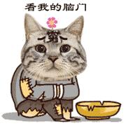 看看那些年我们一起追过的荷兰猪猪粮（下）