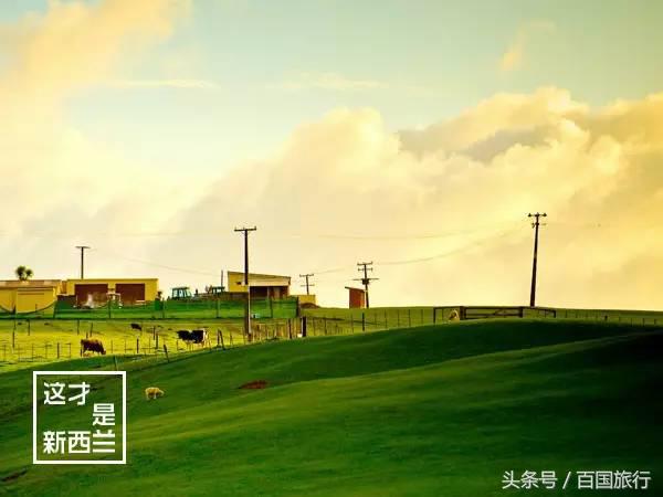 新西兰美到让人窒息,新西兰哪里最美