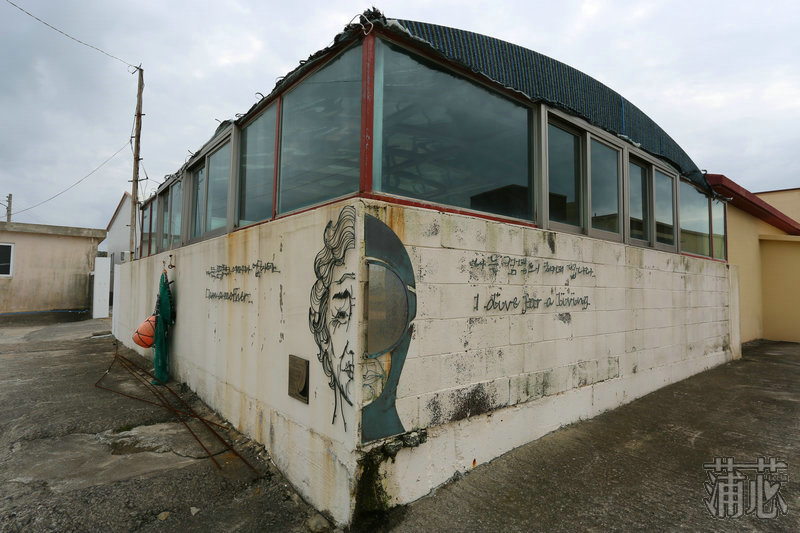 济州岛看枫叶,济州岛枫叶