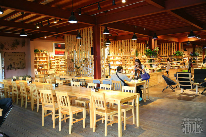 济州岛看枫叶,济州岛枫叶