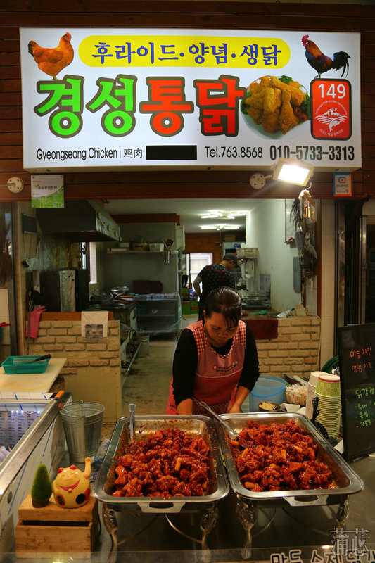 济州岛看枫叶,济州岛枫叶