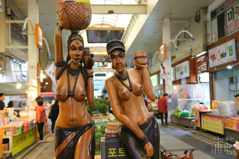 济州岛看枫叶,济州岛枫叶