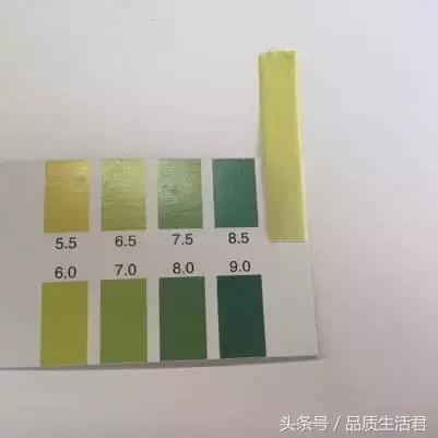 牙膏届的网红款到底怎么样？11款评测给你看