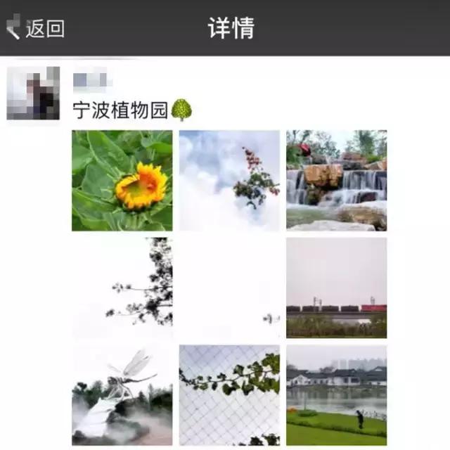 天呐！镇海将拥有宁波最大草坪？还将建宁波唯一