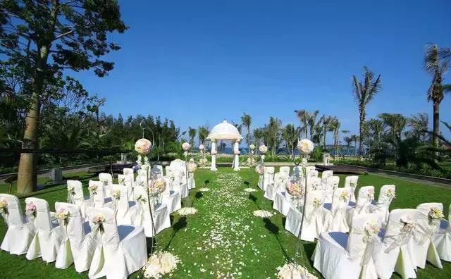 天呐！镇海将拥有宁波最大草坪？还将建宁波唯一