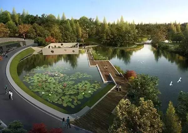 天呐！镇海将拥有宁波最大草坪？还将建宁波唯一