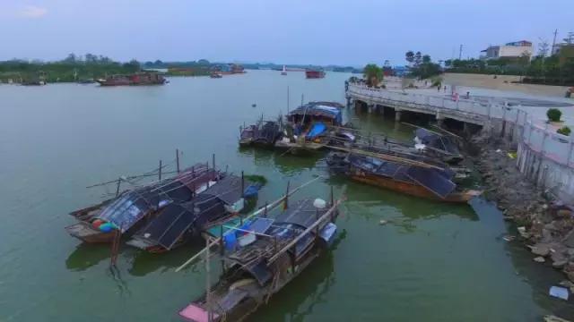 山塘三人龙舟冠军,清远市山塘告捷三人龙舟赛