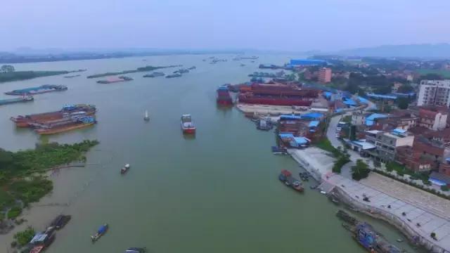 山塘三人龙舟冠军,清远市山塘告捷三人龙舟赛