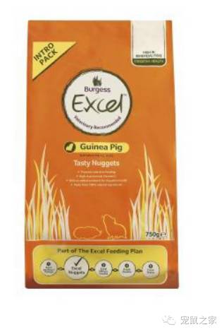 看看那些年我们一起追过的荷兰猪猪粮（下）