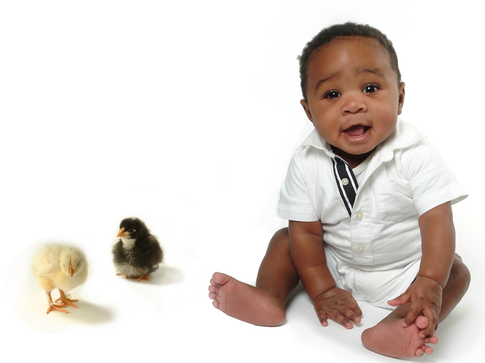 两次怀孕都胎停还能再怀孕吗,3个月有胎心胎芽nt显示胎停了