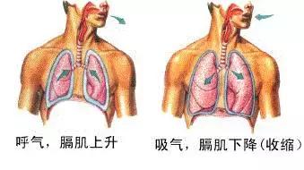 打嗝可能是哪的病,打嗝是不是有大病前兆