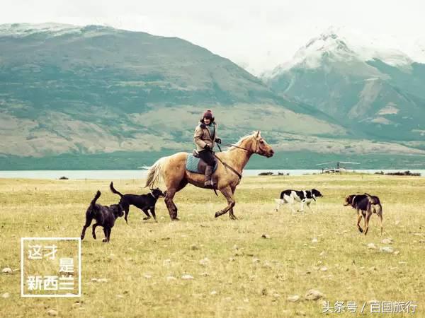 新西兰美到让人窒息,新西兰哪里最美