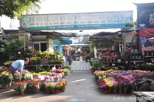 苏州平江路网红打卡地,苏州十大名街