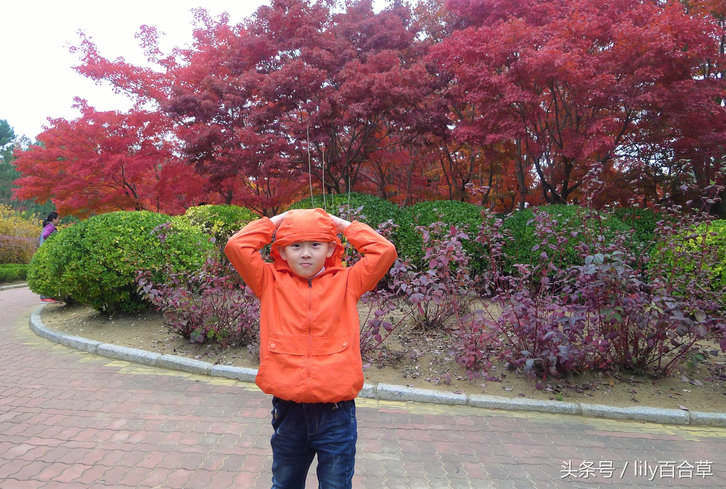 鬼马少年完整版,鬼马少年系列