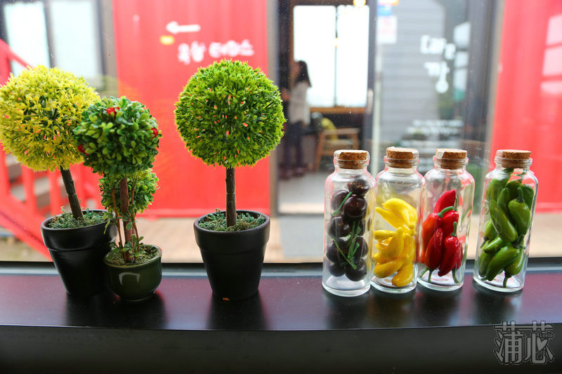 济州岛看枫叶,济州岛枫叶